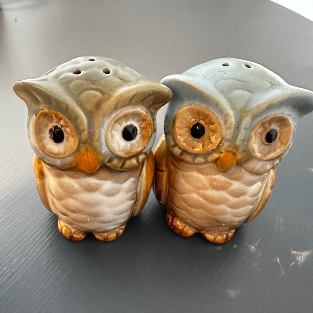 Owl Salt and Pepper Shakers Hand Painted Ceramic Rustic Fall Autumn Decor Colors